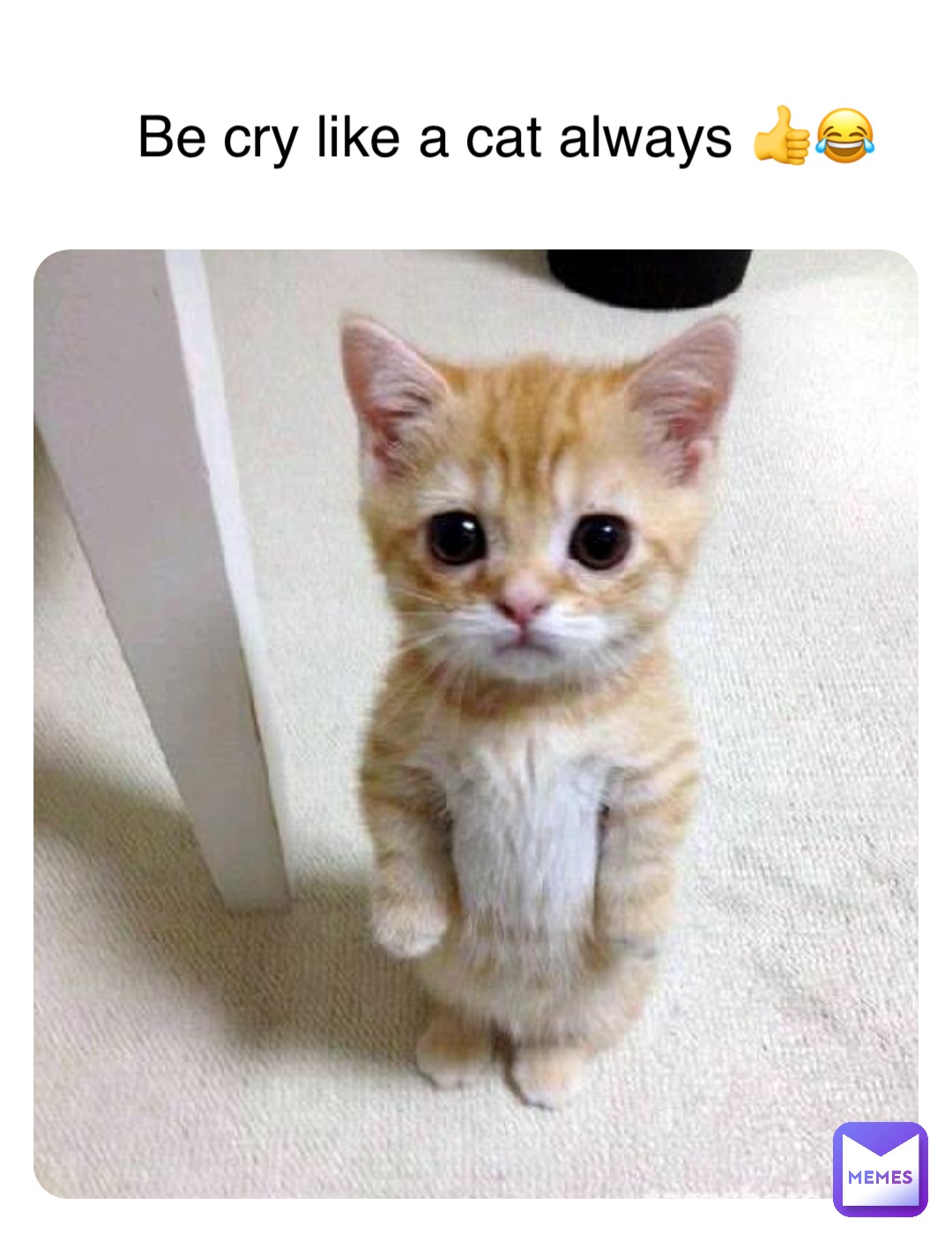 Be cry like a cat always 👍😂