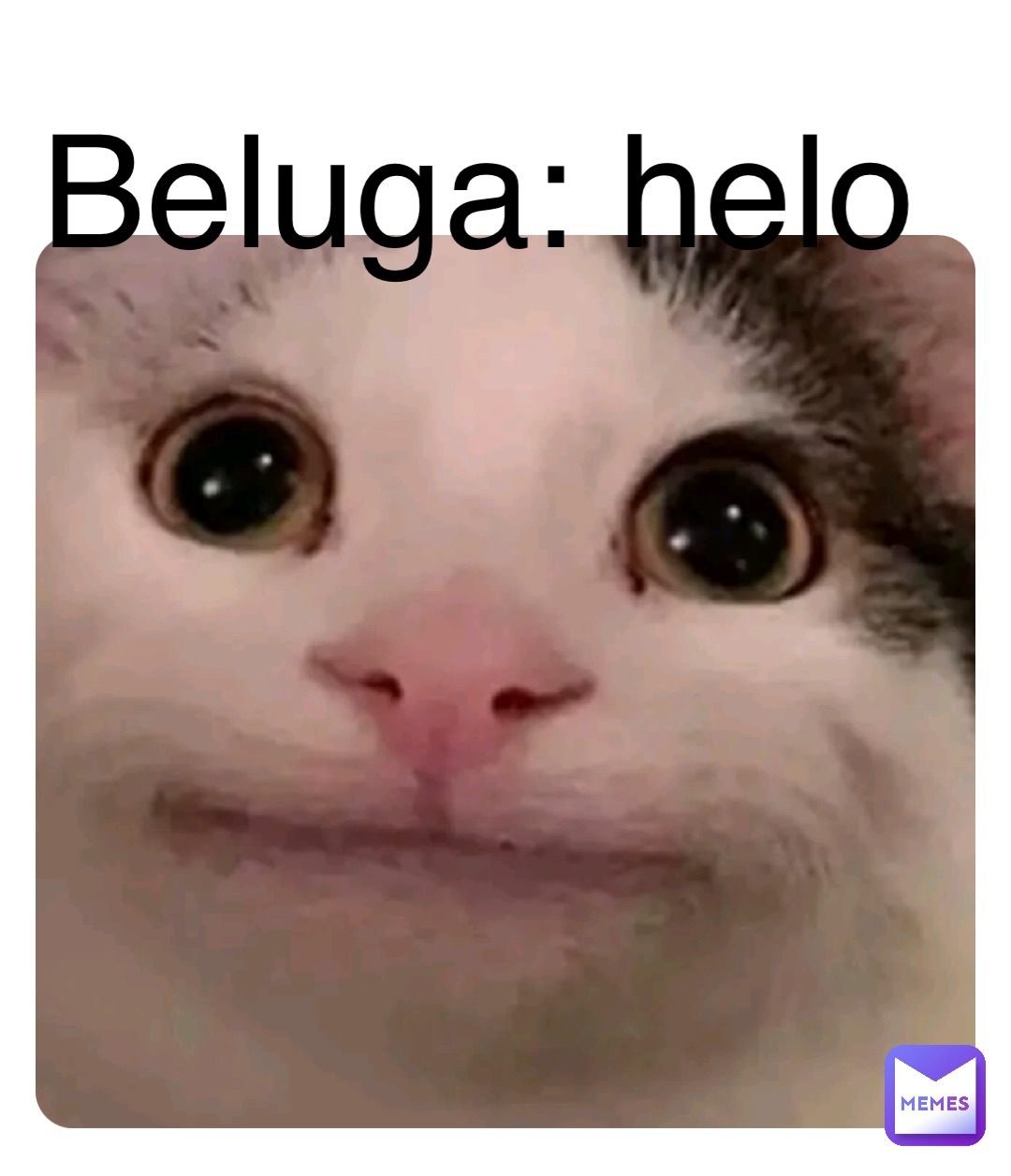 Beluga: helo Double tap to edit