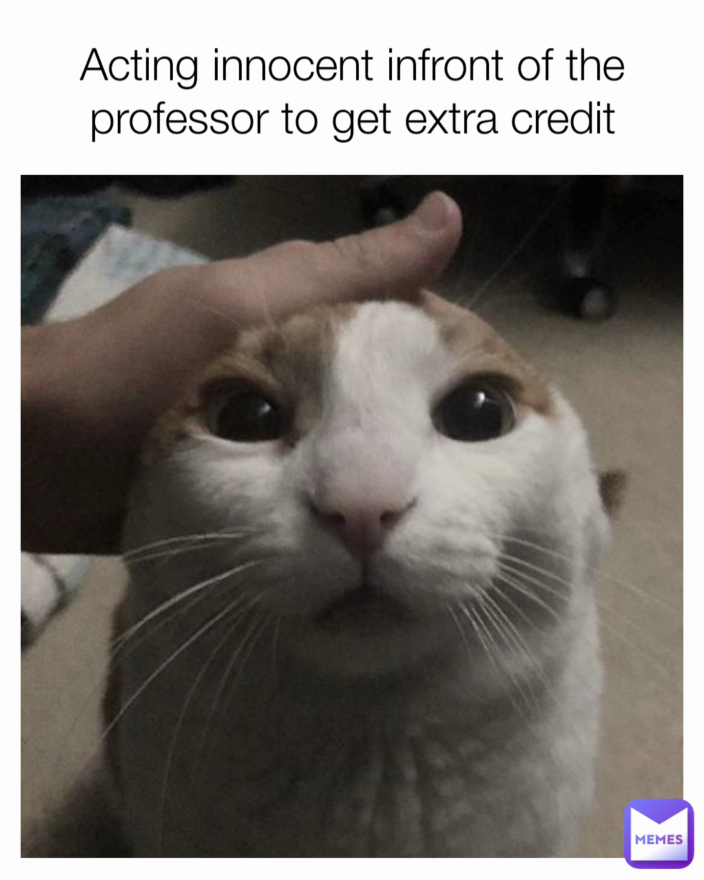 Meme by an__innocent__child