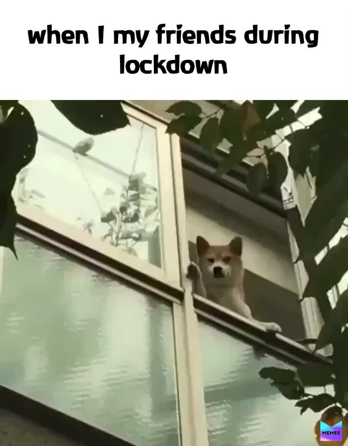#lockdown  #virus  #home