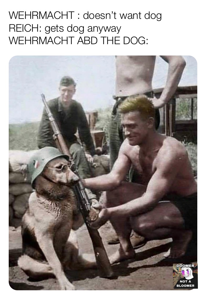 Meme by doomernotabloomer