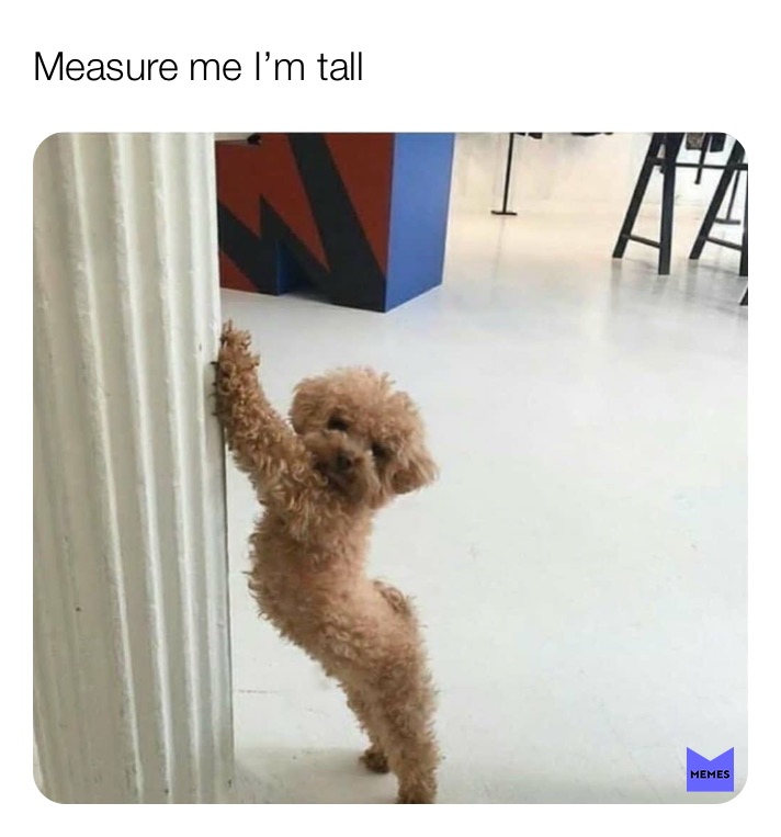 Meme by memes_lil_pineapple