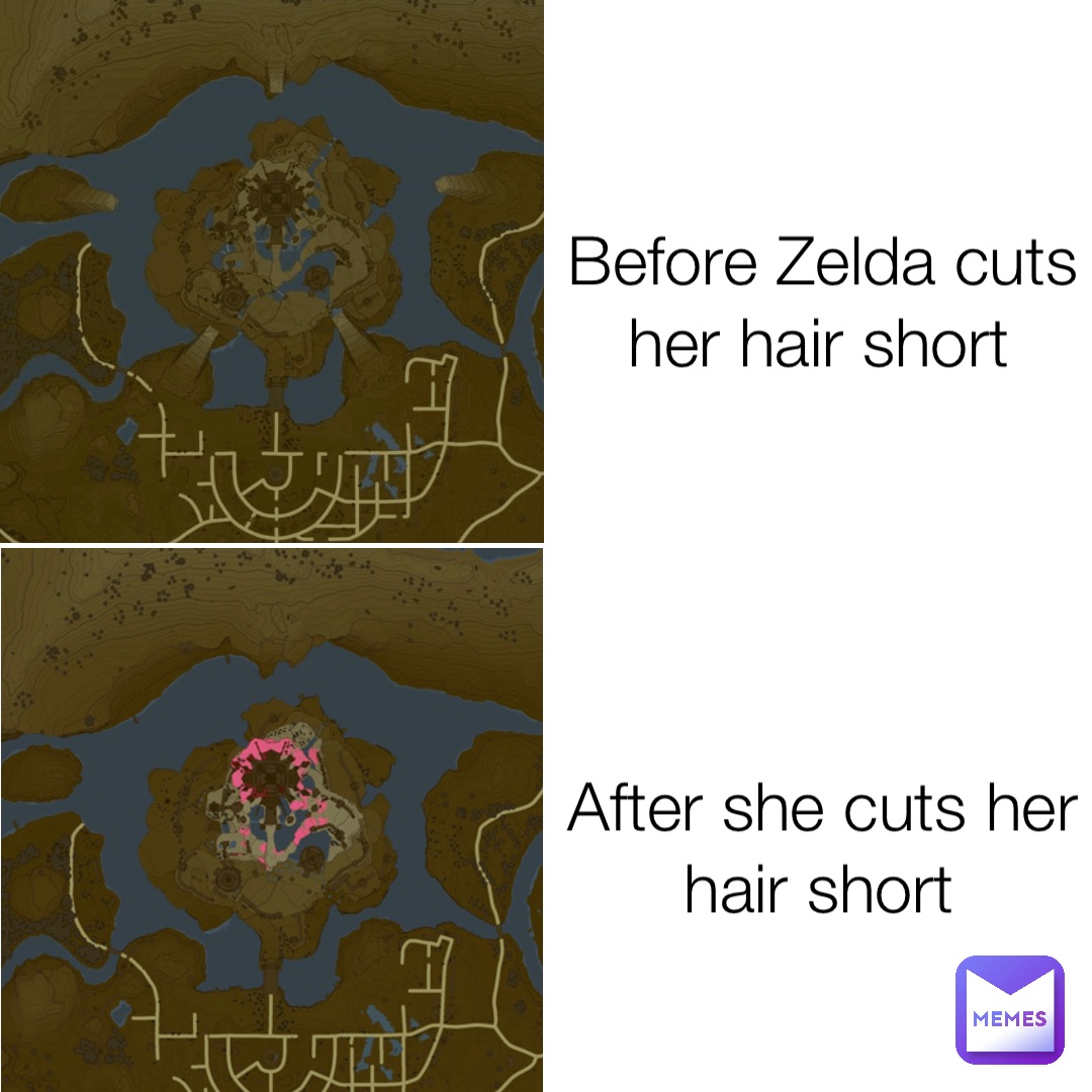 Before Zelda cuts her hair short After she cuts her hair short