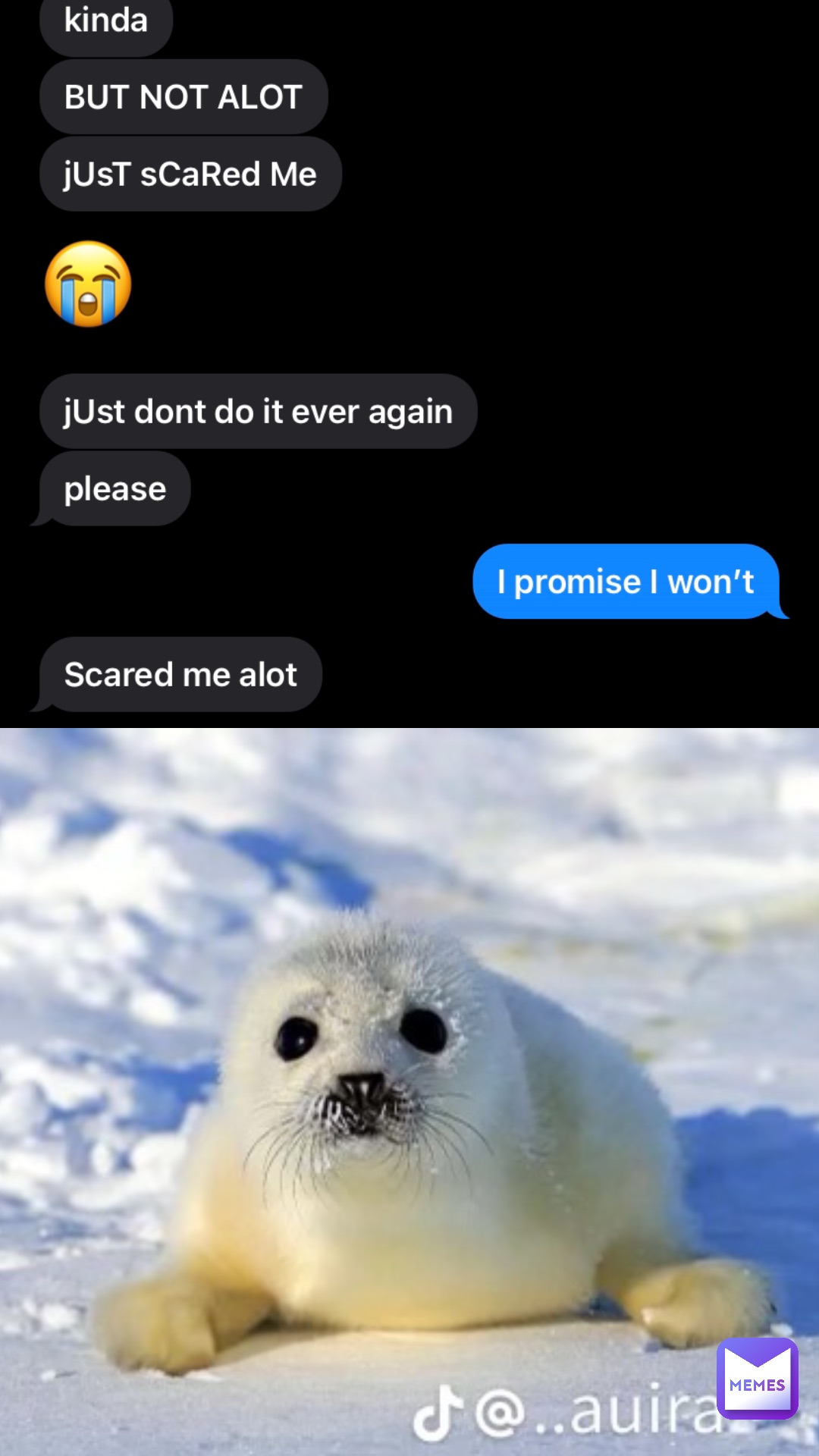 worried seal meme