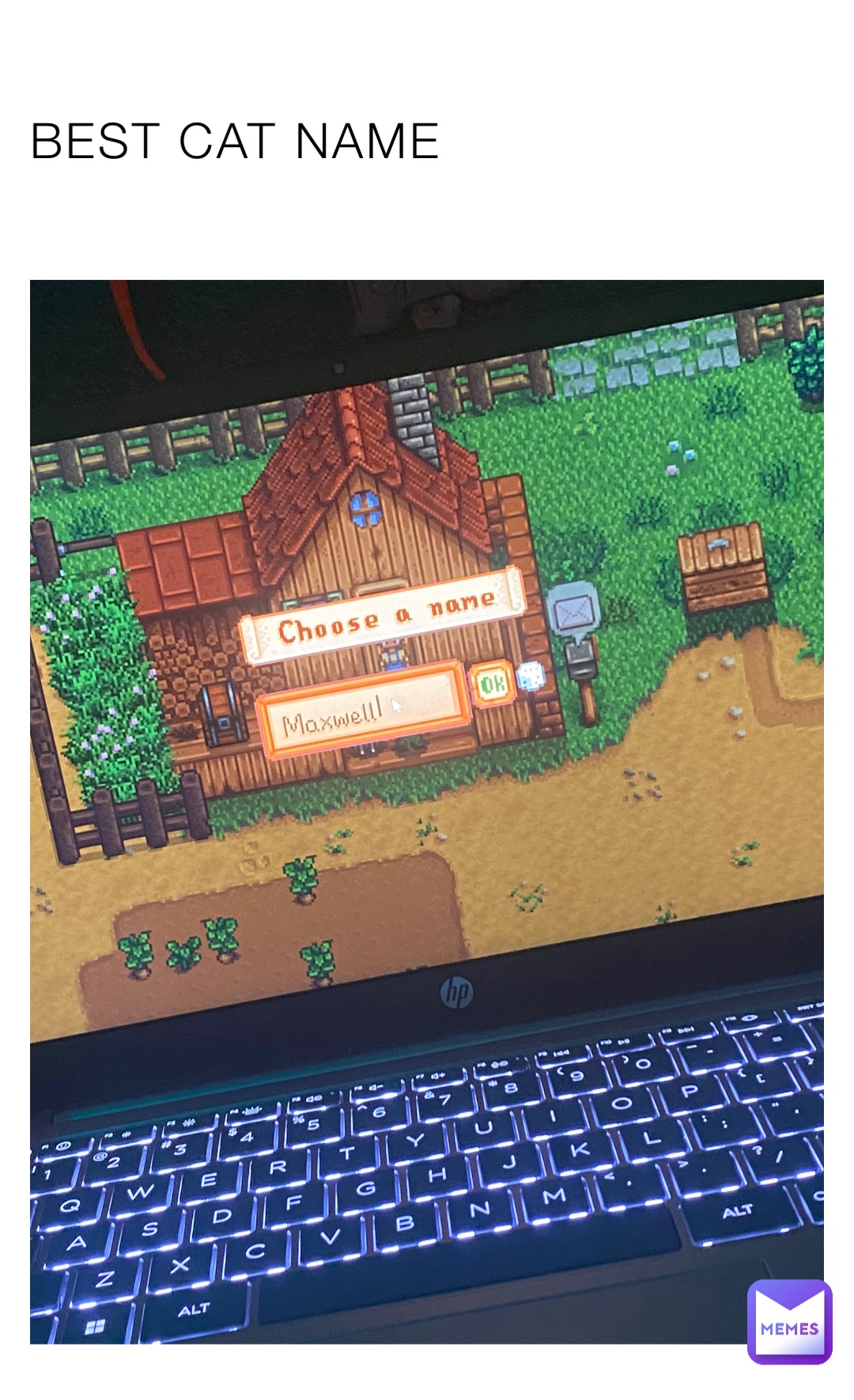 BEST CAT NAME Noobs_r Memes