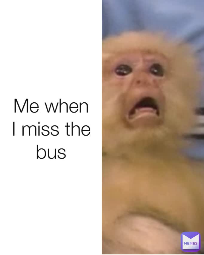 Me when I miss the bus