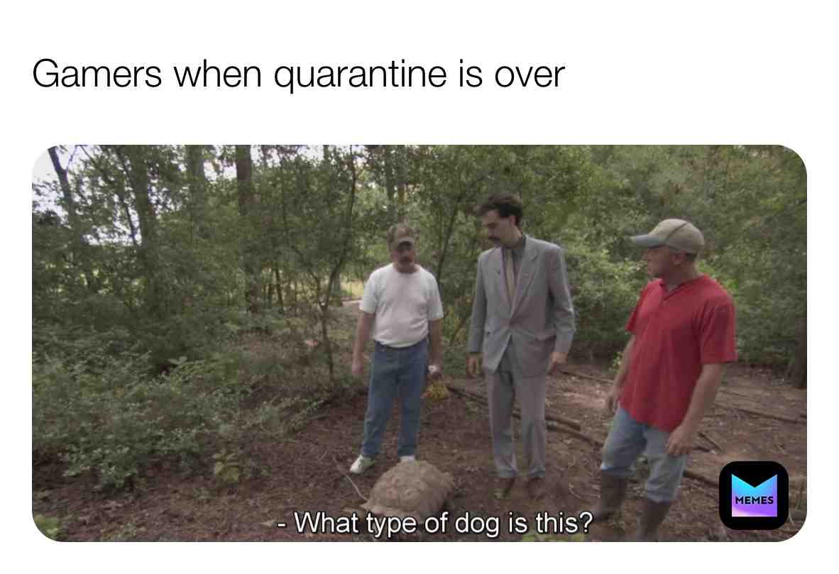 Meme shared by @athanp