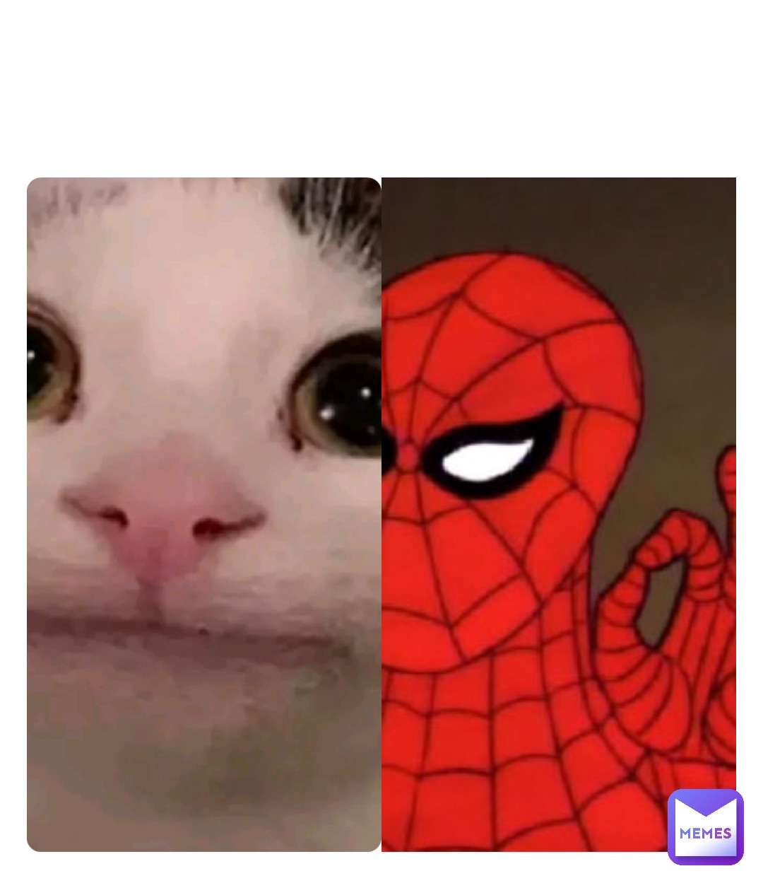 Meme by AIDEN098753578974