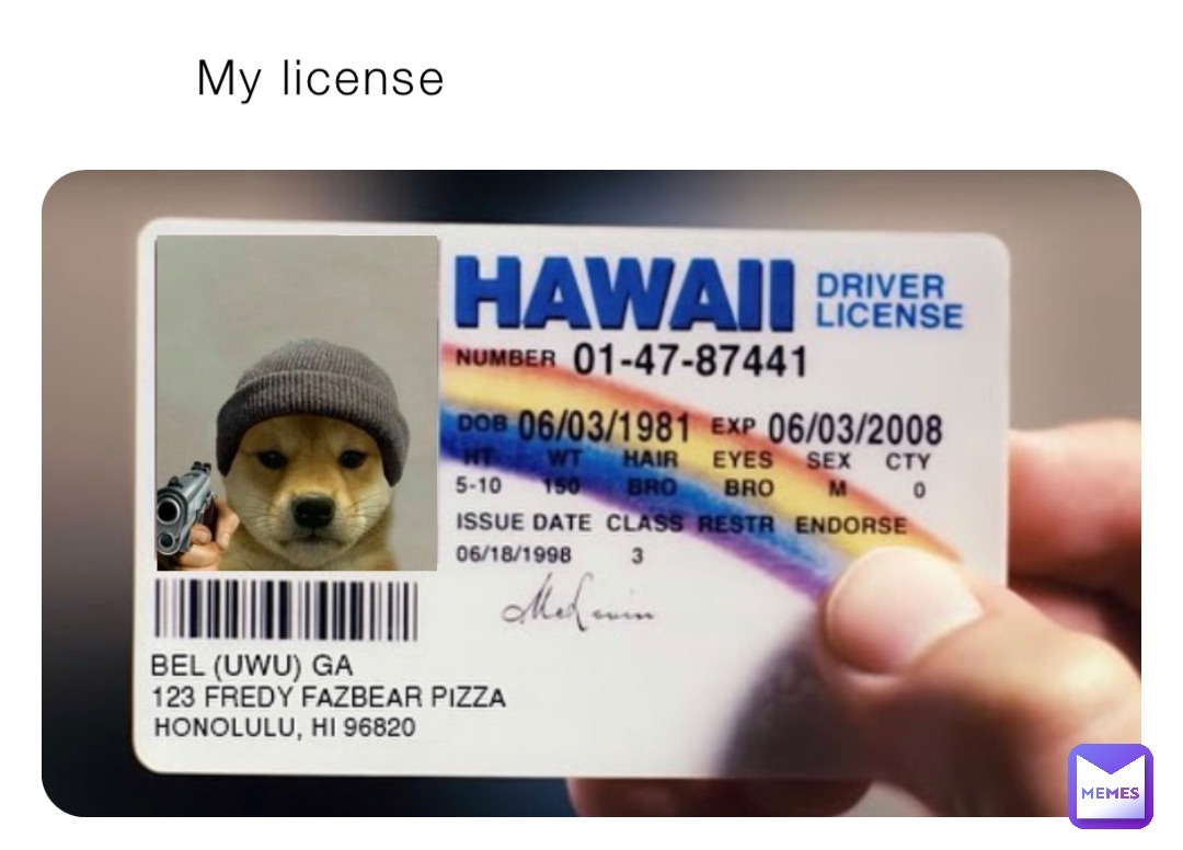 My license