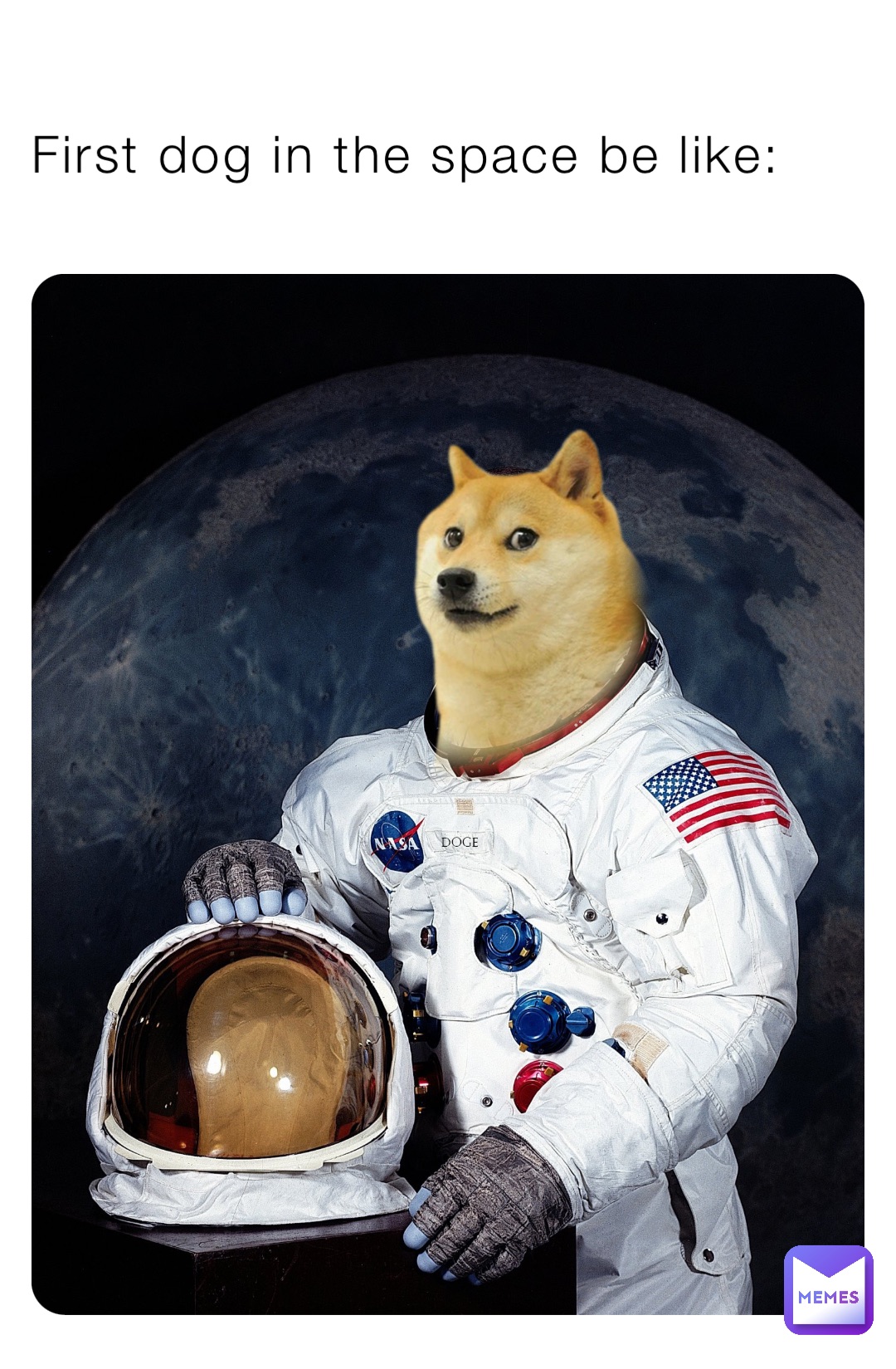 First dog in the space be like: