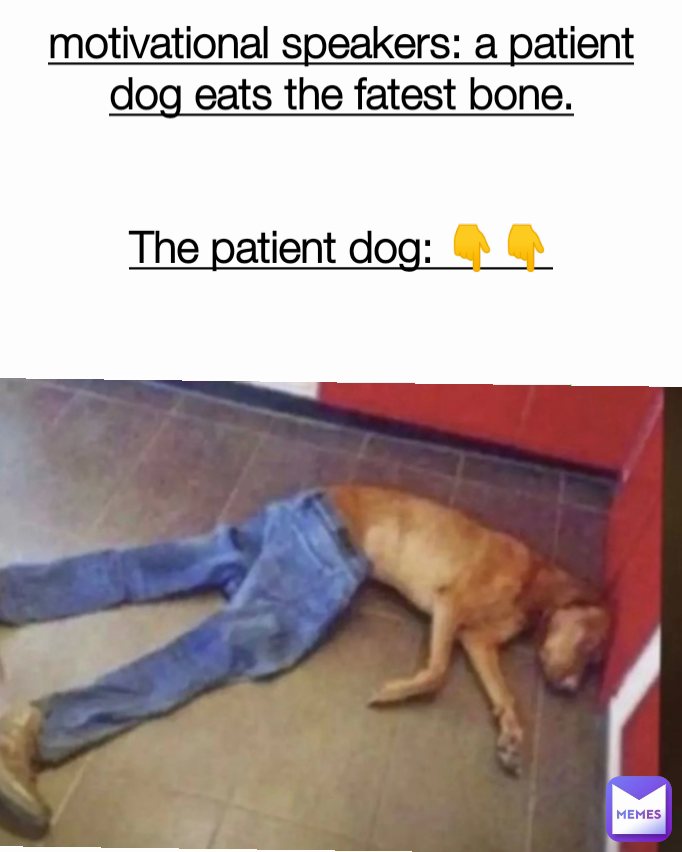 motivational speakers: a patient dog eats the fatest bone.


The patient dog: 👇👇