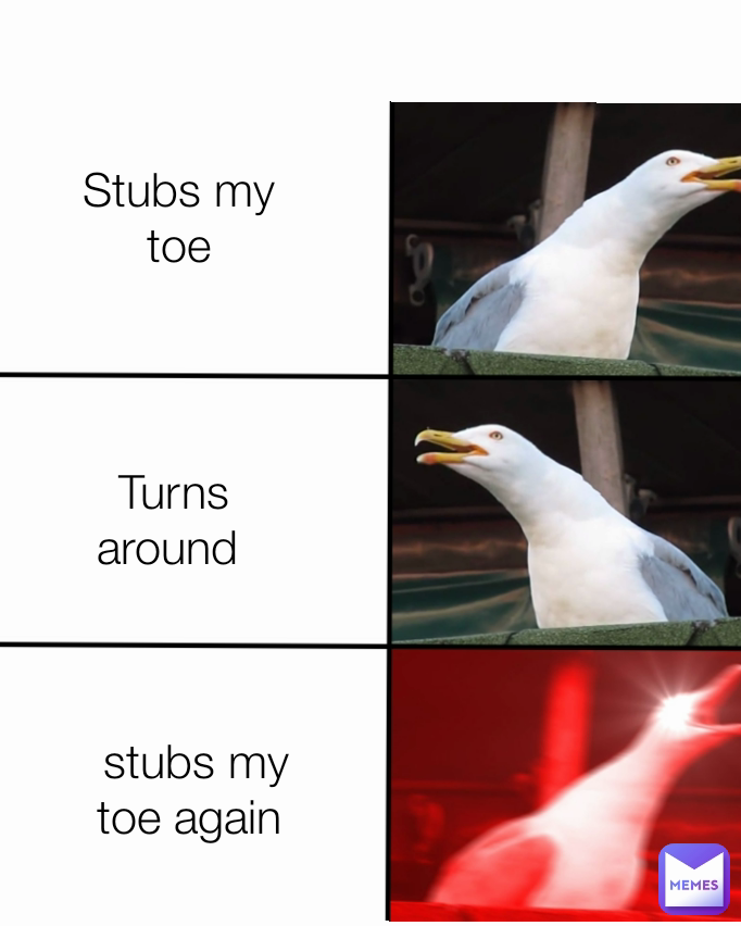 Stubs my toe Type Text Turns around  stubs my toe again 