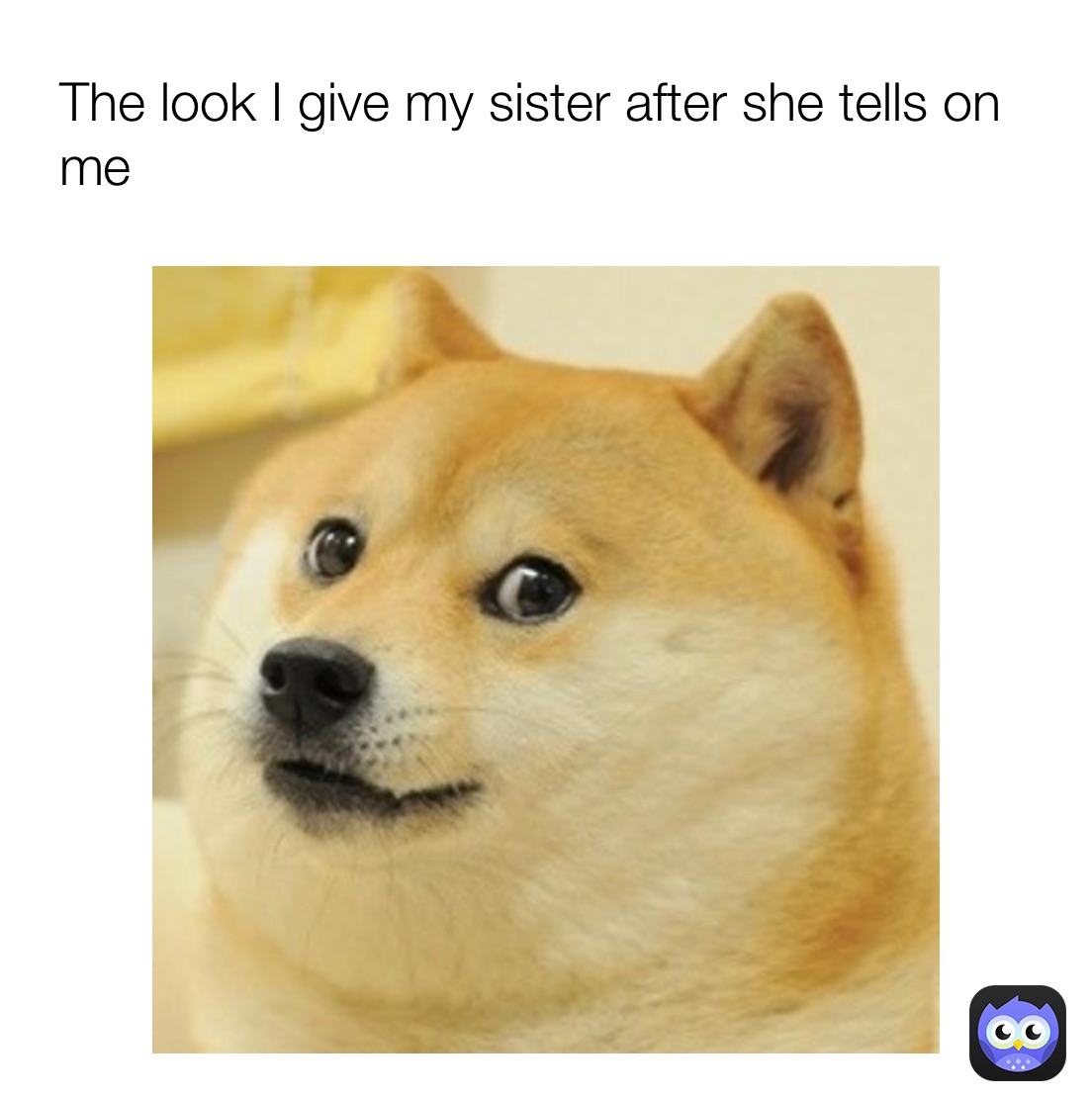 Doge feet meme