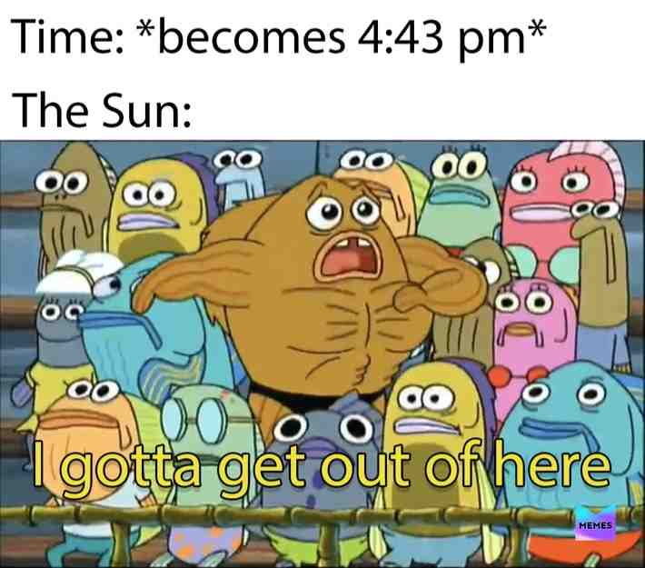 Seeing the sun go down and go back up on a fire is a vibe