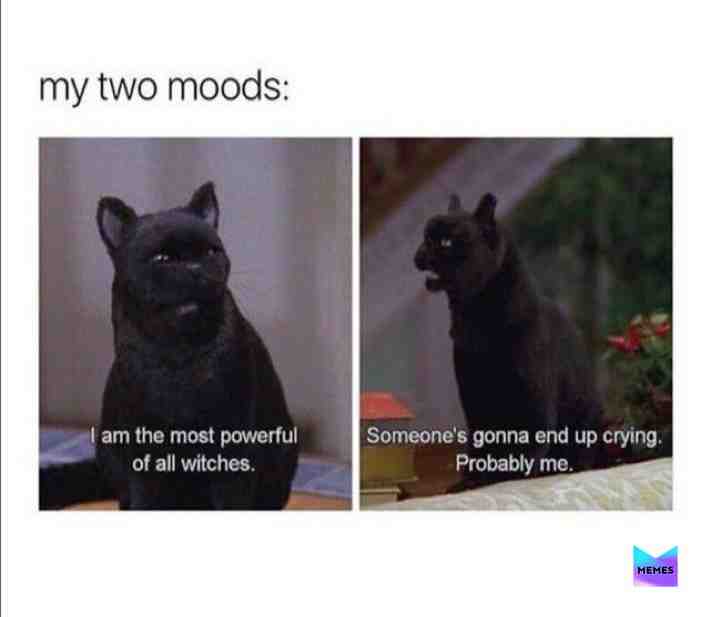 Me on any fire I go too 😅