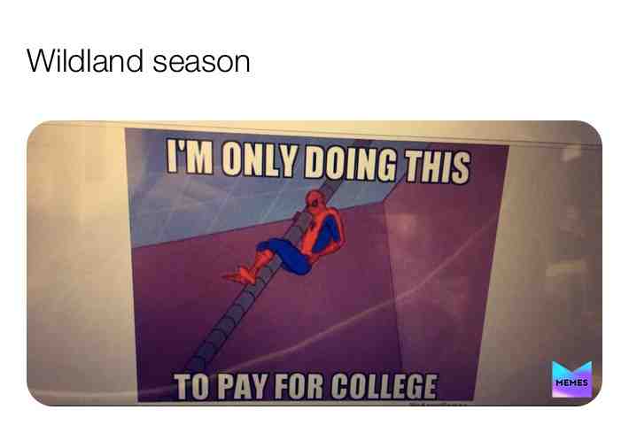 Hahahaha bet