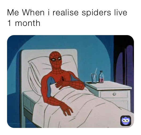 Me When i realise spiders live 1 month