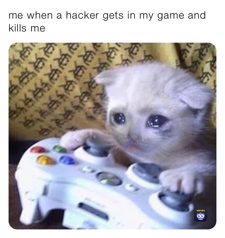 me when a hacker gets in my game and kills me