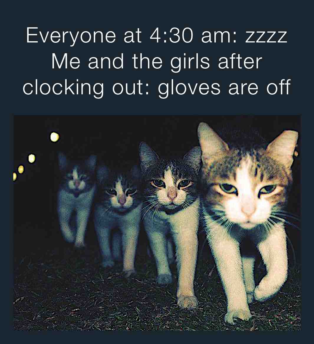 Night shift girls ready.