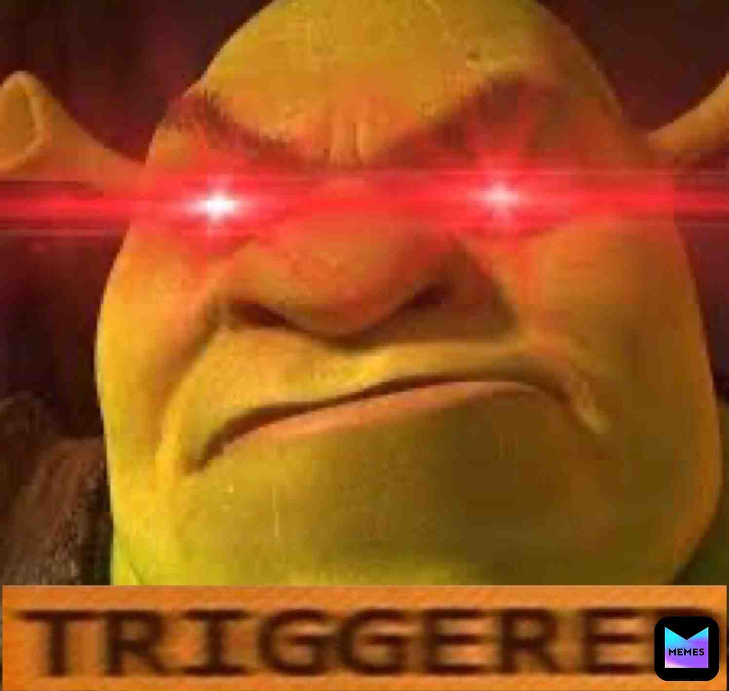 When there’s is no onion  #shrek