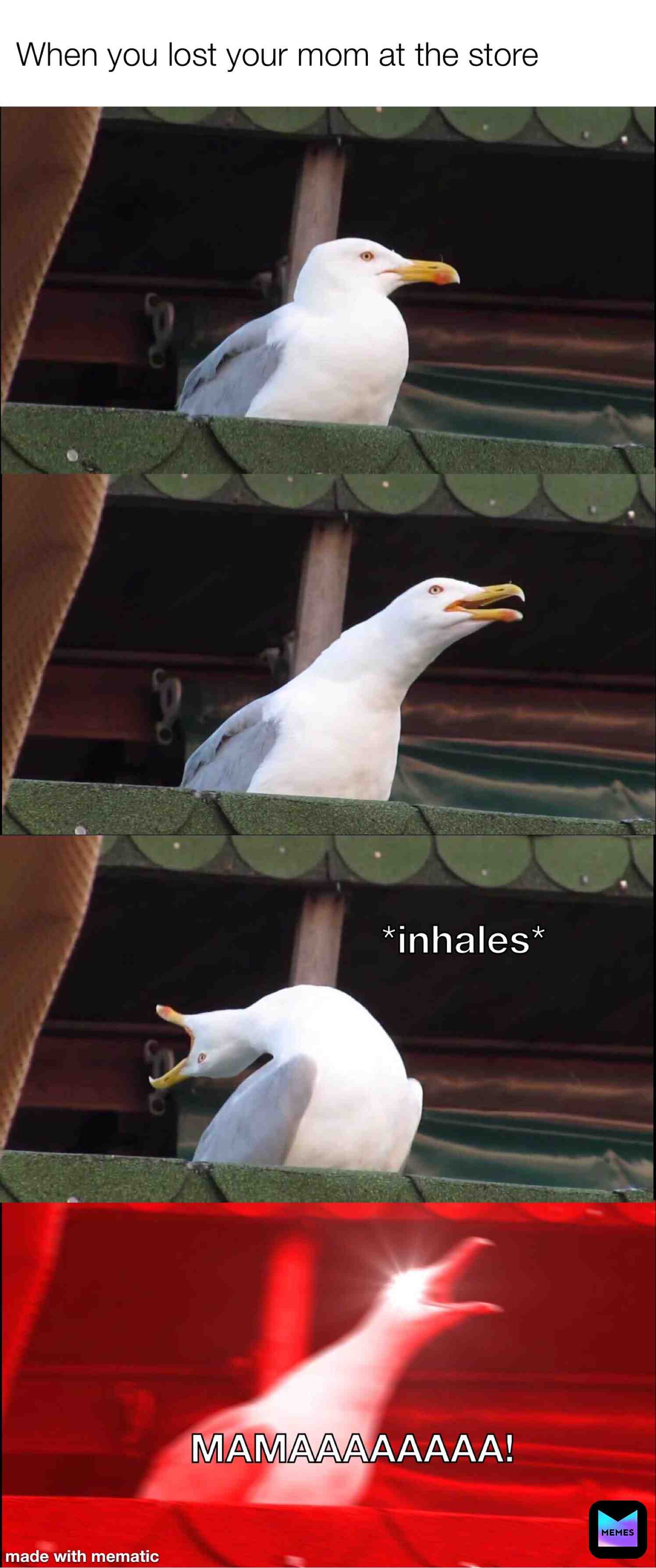 #seagulls  #freddiemercury
