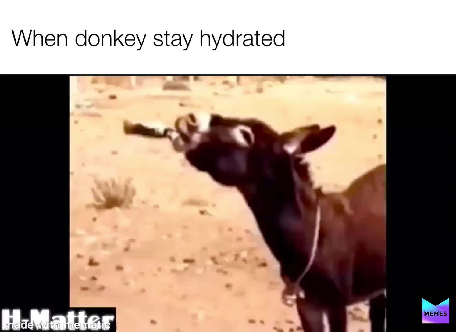 #donkey  #stayhydrated  #bestmemes  #arab #arabmemes
