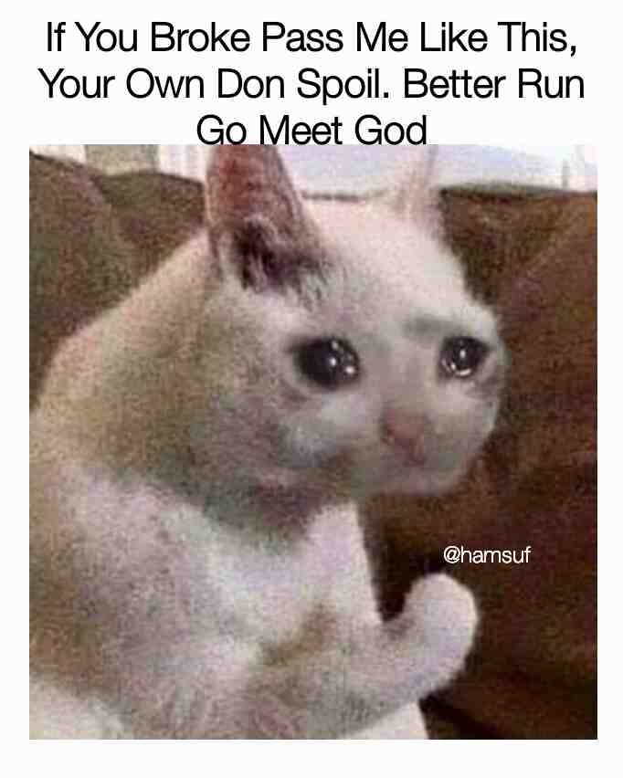 Meme shared by @Shamack