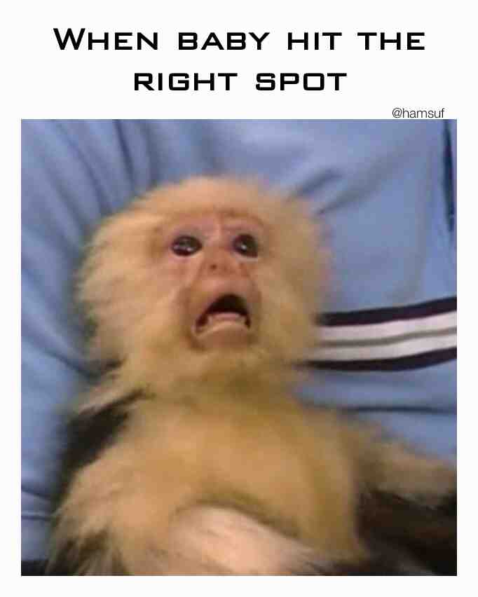 Meme shared by @Shamack