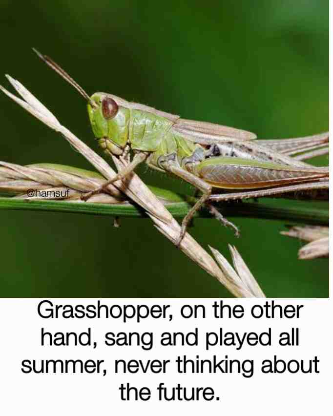 Meme shared by @Shamack