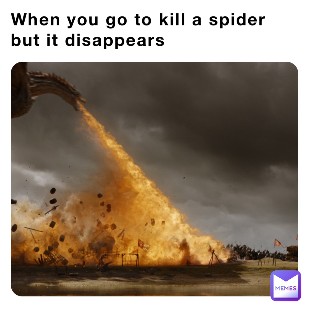 When you go to kill a spider 
but it disappears