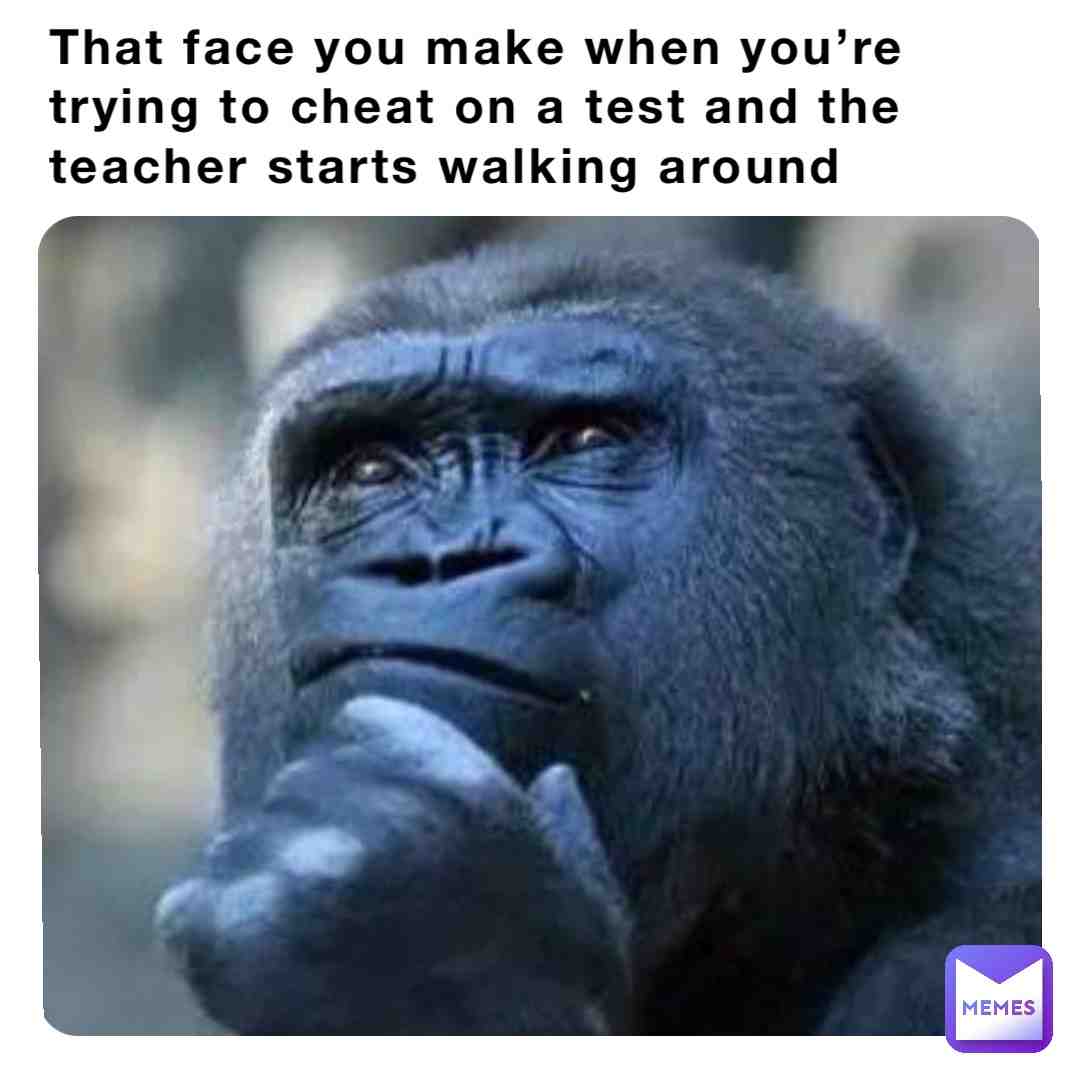 #schoolmemes