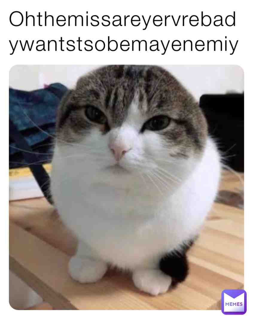 Wawa cat   #britishstringbeans  #remembermike