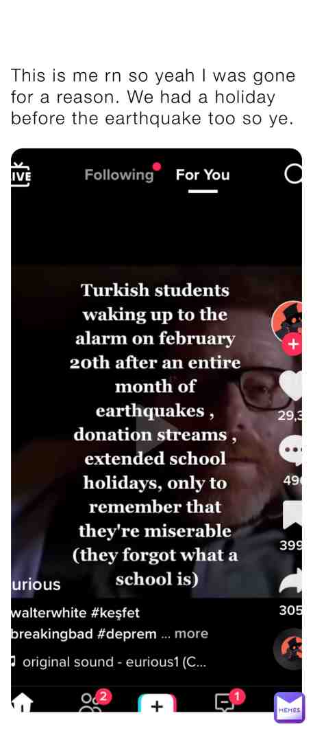 #turkishstringbeans