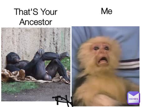 Me That'S Your Ancestor