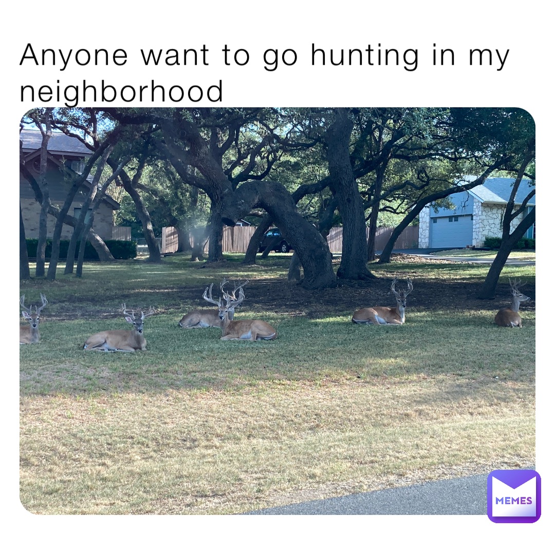 Anyone want to go hunting in my neighborhood