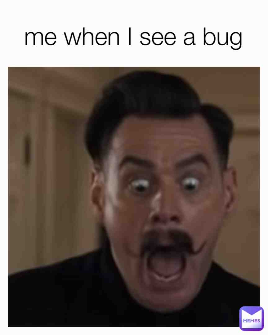 Moi quand Je vois une bibite