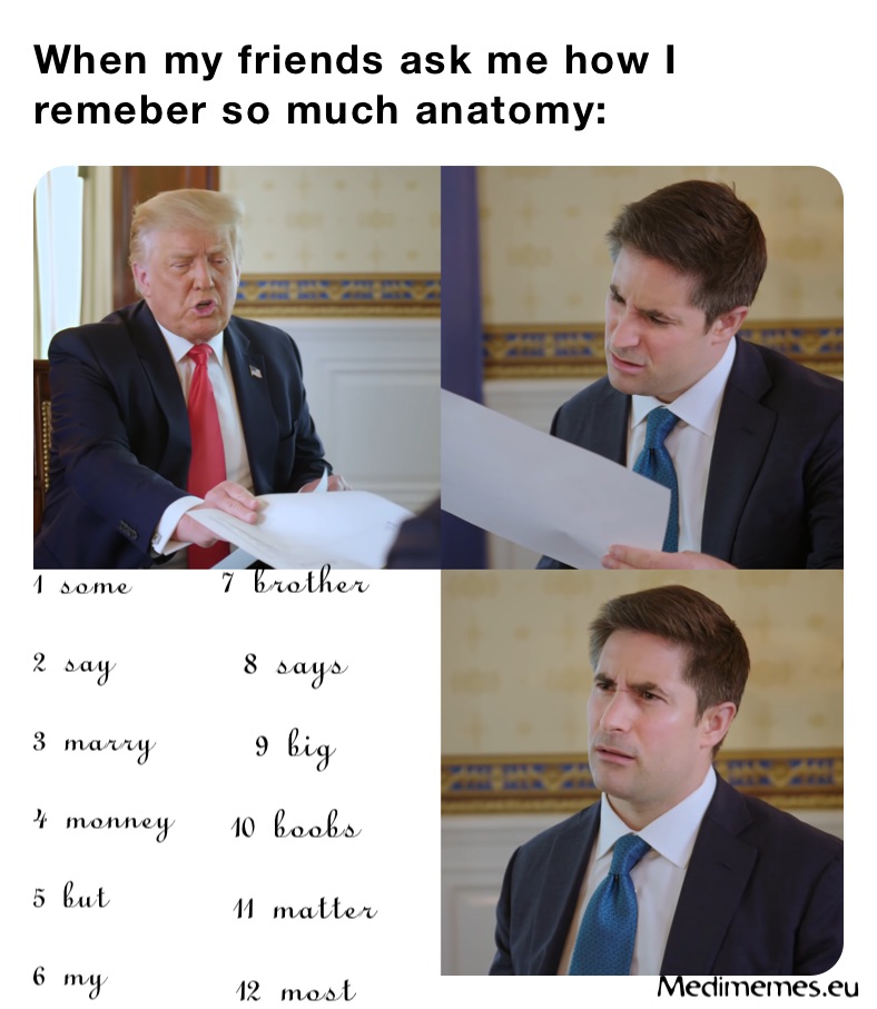 When my friends ask me how I remeber so much anatomy: