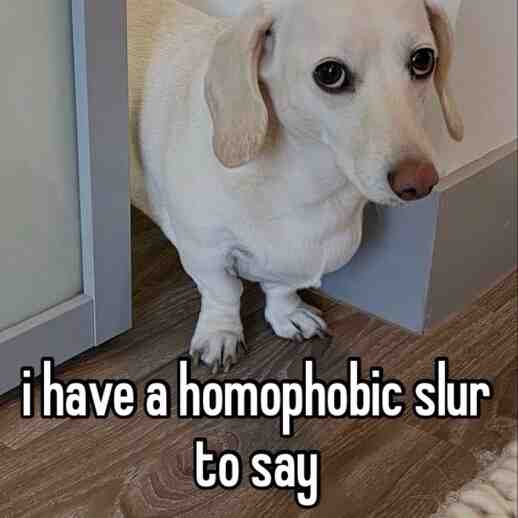 Meme shared by @suchpoo