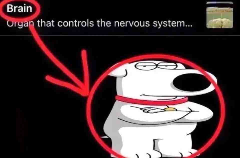 Meme shared by @suchpoo