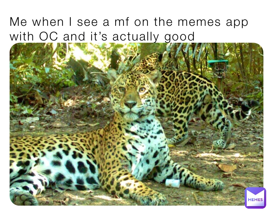 Me when I see a mf on the memes app with OC and it’s actually good