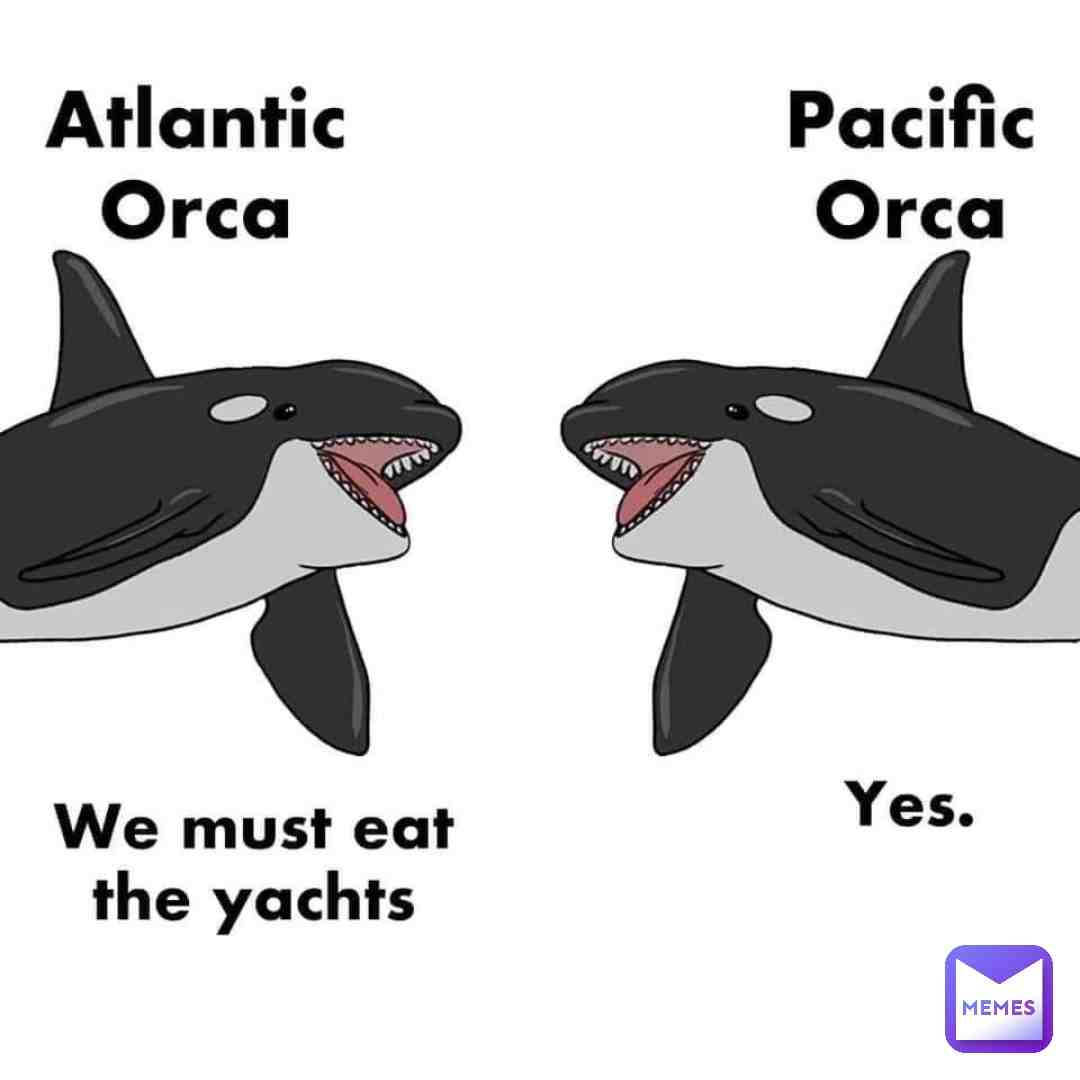 Meme preview