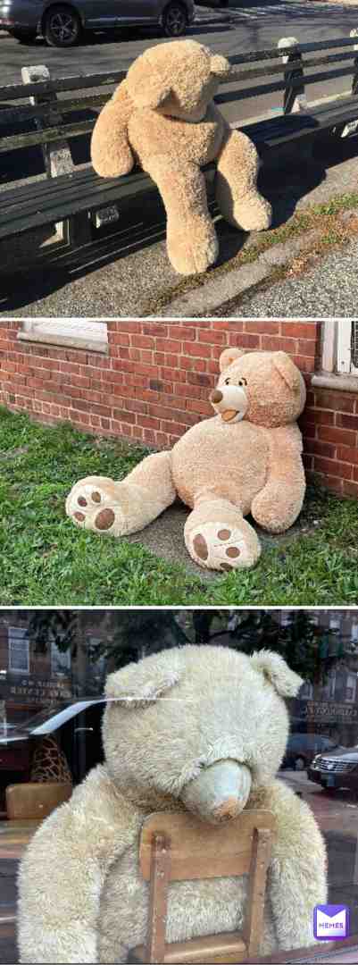 Teddy bears I\u2019ve seen while out & about. Apparently, they don\u2019t do too well as adults\u2026
  #originalmemes
