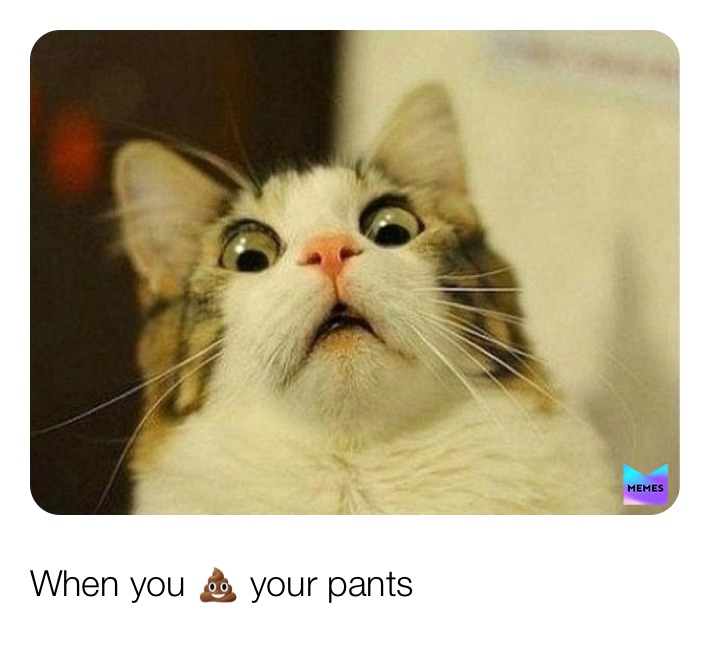 Meme by drippking334