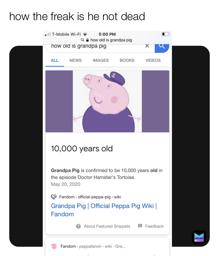 Meme by drippking334