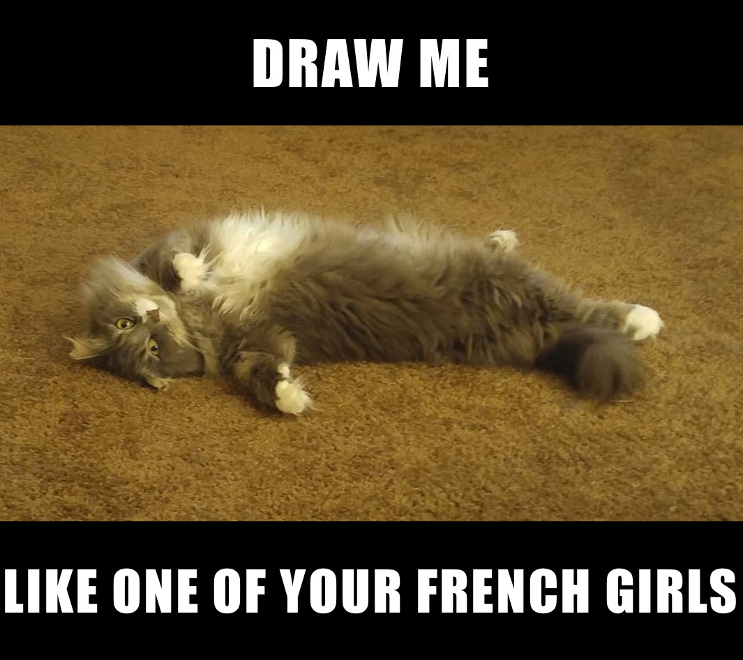 DRAW ME LIKE ONE OF YOUR FRENCH GIRLS 