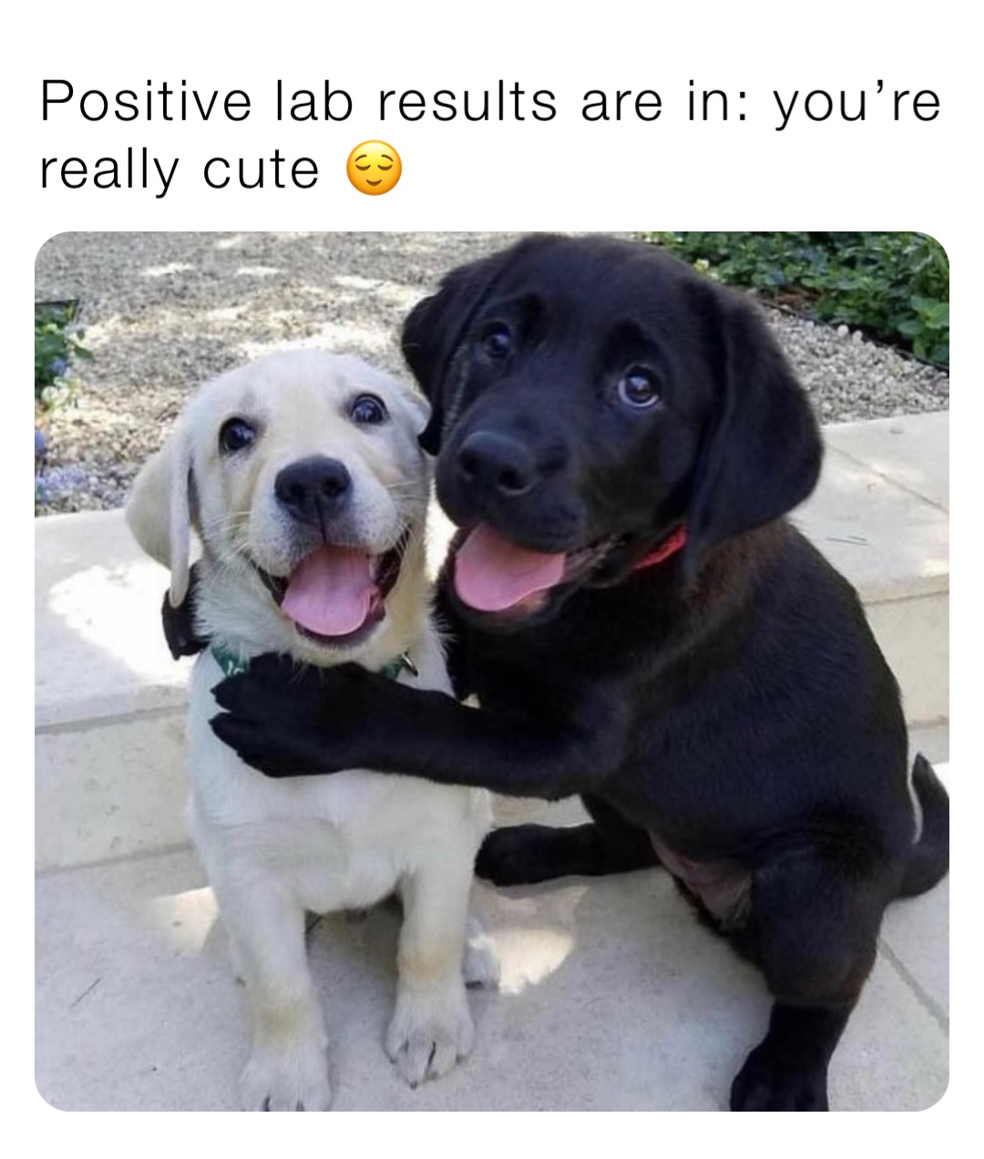 Positive lab results are in you’re really cute 😌 xxshortness123xx