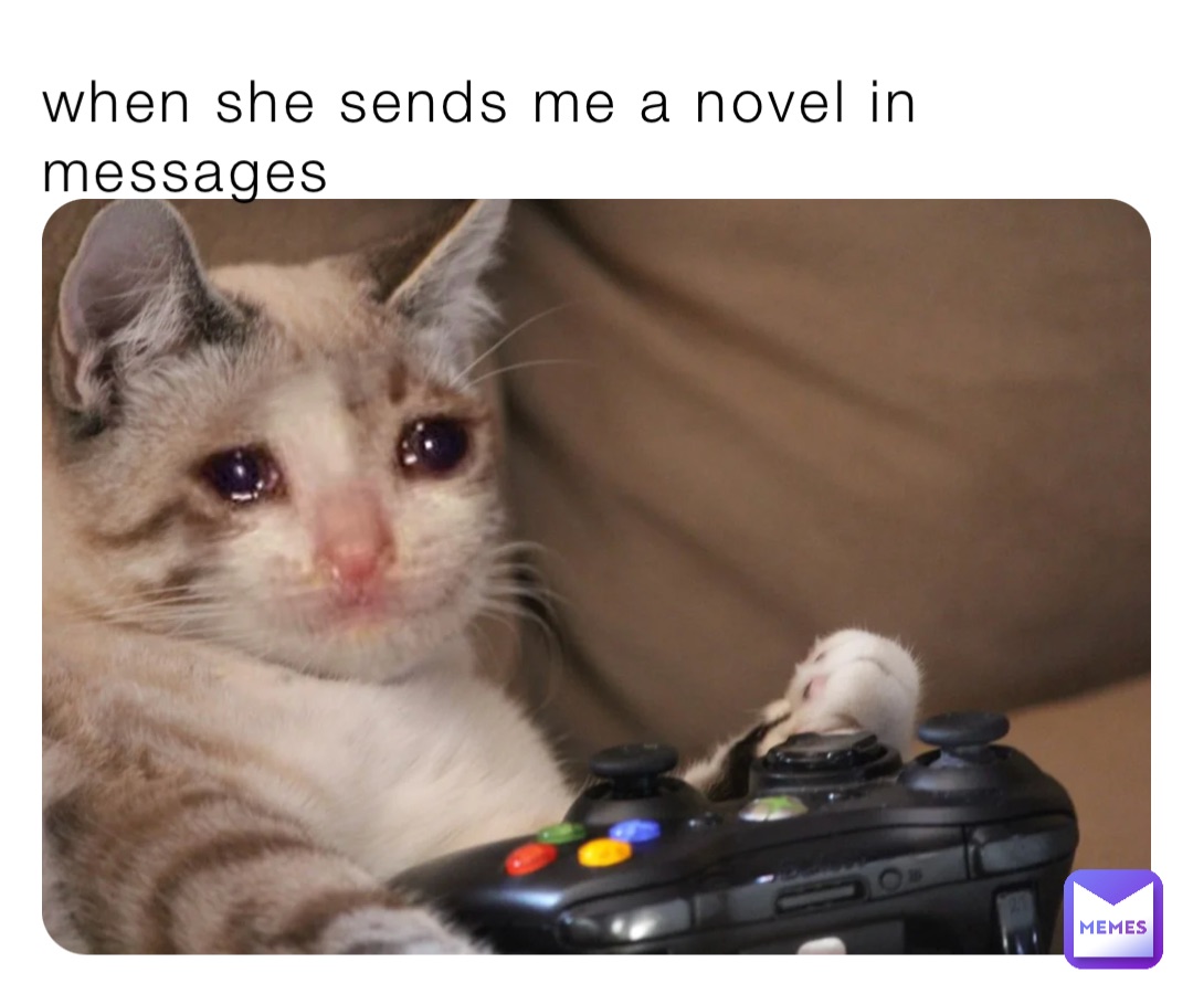when she sends me a novel in messages