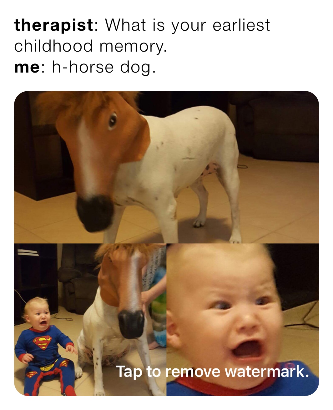 therapist: What is your earliest childhood memory.
me: h-horse dog.