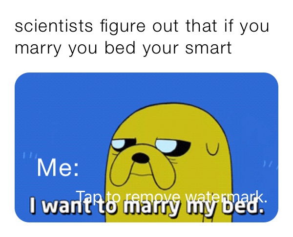 scientists figure out that if you marry you bed your smart