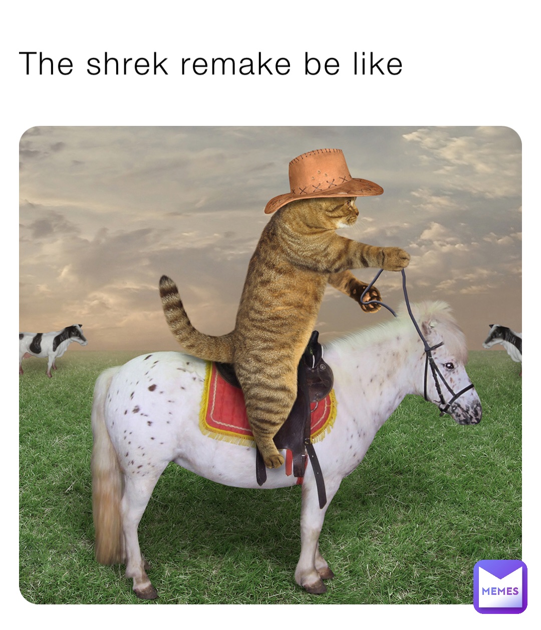 The shrek remake be like